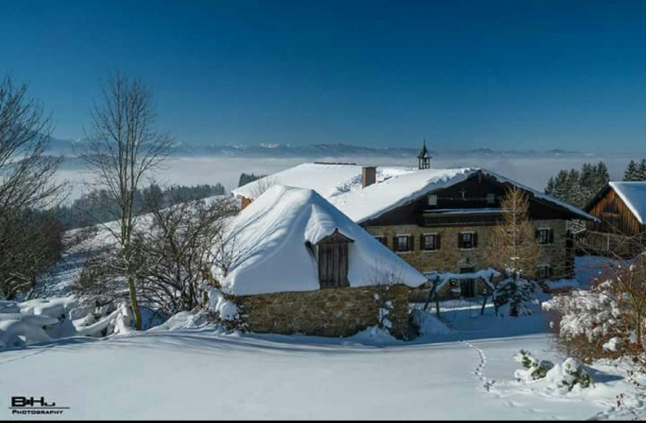 Bauernhof Moadl Villa Weyregg Exterior foto