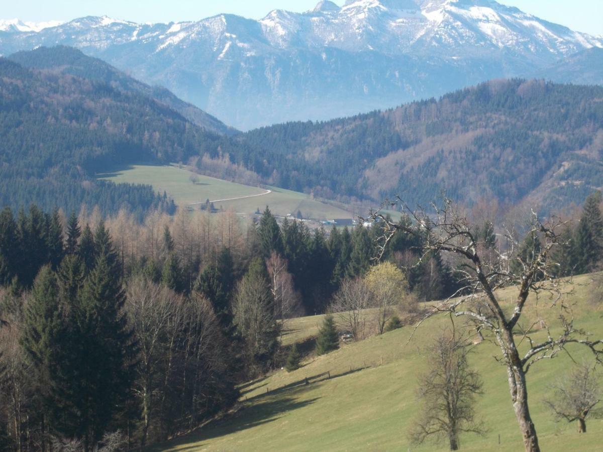 Bauernhof Moadl Villa Weyregg Exterior foto